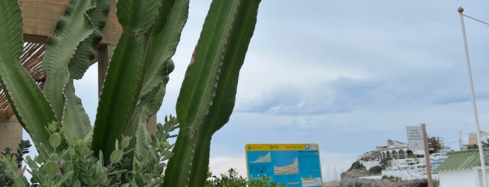 Garraf is one of All-time favorites in Spain.