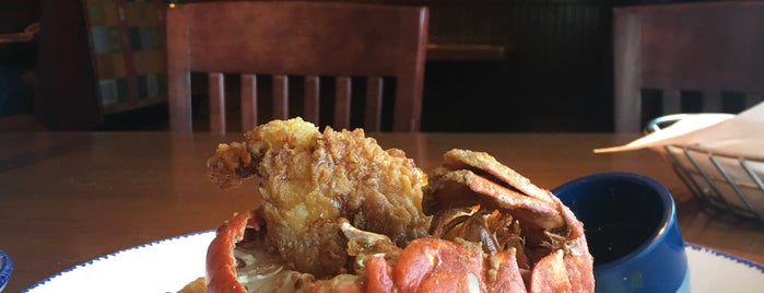 Red Lobster is one of Top 10 favorites places in Virginia Beach, VA.