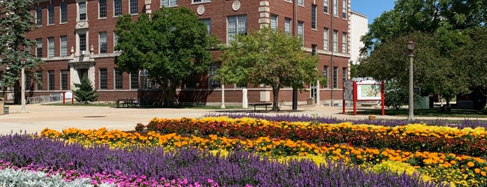 The Quad is one of College Life.