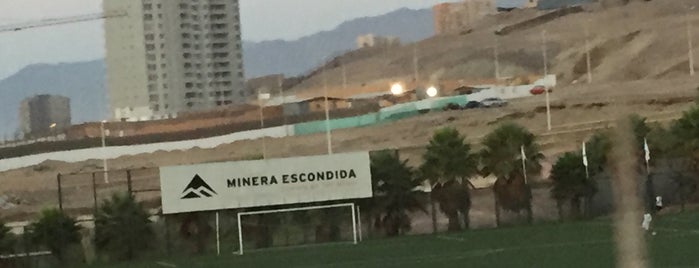 Complejo Deportivo Minera Escondida is one of Fútbol.