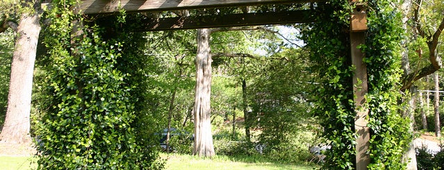 Donald E. Davis Arboretum is one of My Favorite Spots.