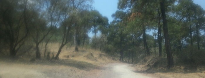 Liga del Ajusco (ADECMAC) is one of Orte, die Martin L. gefallen.