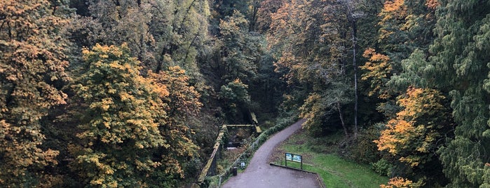 Forest Park is one of Portland Adventures.