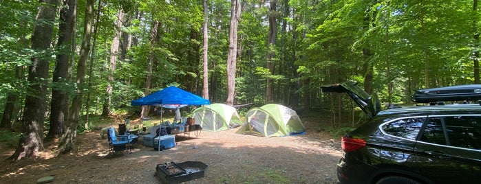 Bowman Lake State Park is one of Camping.