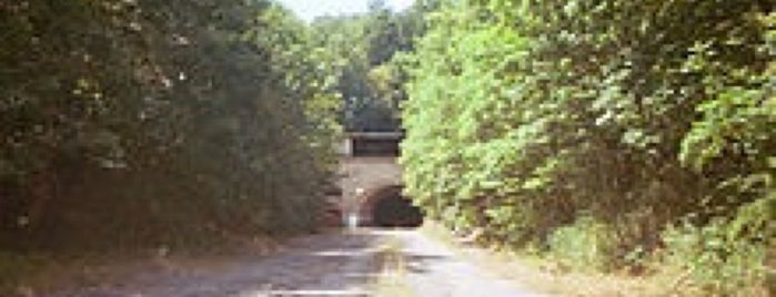 Abandoned Spring Hill Tunnel is one of Historic Bridges and Tinnels.