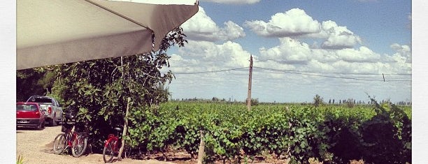 Bodega di Tommaso is one of Vinícolas de Mendoza.