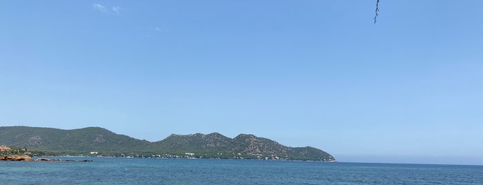 Panetosto is one of islas baleares.