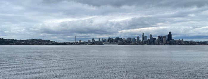 Luna Park is one of Seattle's Best Views.