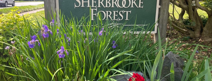 Sherbrooke Forest Neighborhood is one of Tempat yang Disukai Chester.
