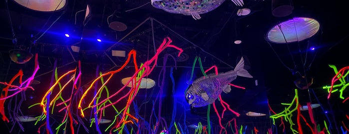 Meow Wolf Grapevine | The Real Unreal is one of Trip.