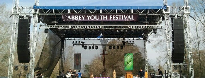 Abbey Youth Fest (AYF) is one of My Kingdom.