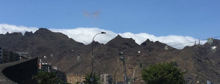 Actividades de Tenerife en la naturaleza