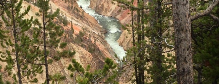 Grand Canyon of The Yellowstone is one of Tempat yang Disukai Lizzie.