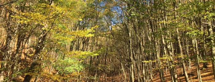 Pihenő is one of สถานที่ที่ Adam ถูกใจ.