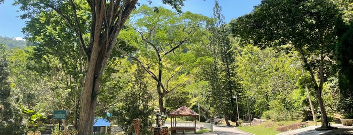 Penang City Park (Youth Park) is one of KL.