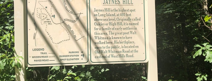 Jayne's Hill is one of LI Sights.