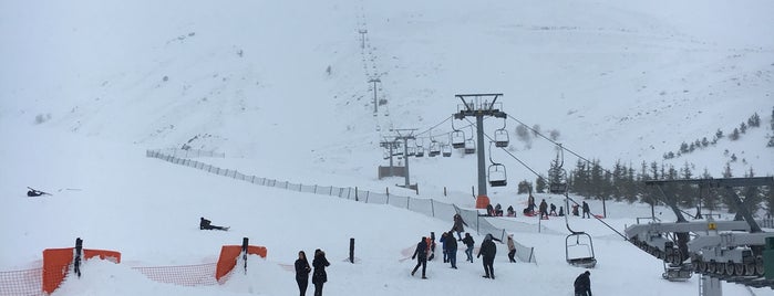 Bozdağ Kayak Merkezi is one of Lugares favoritos de Berkan.