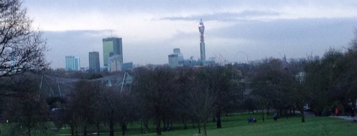 Primrose Hill is one of London.