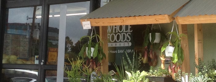 Whole Foods Market is one of US TRAVEL HOUSTON TX.