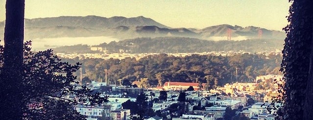 Mount Sutro Summit is one of Favorite places to mountain bike in and around SF.