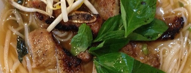 Vietnamese/SE Asian Food