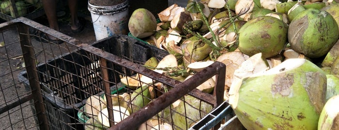 Anba Coconut Trading is one of 🍢🍡🍧🍨🍮🍞🍵☕️🥤🧉.