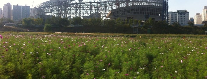 Gocheok Sky Dome is one of 꿈의 구장 Field Of Dreams.