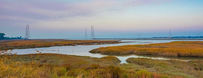 Foster City - SF Bay Trail is one of SFO-SEA.