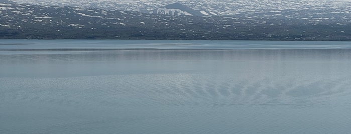 Lake Sevan | Սևանա լիճ is one of Winter 2020: DXB | EVN | Artsakh | IST.