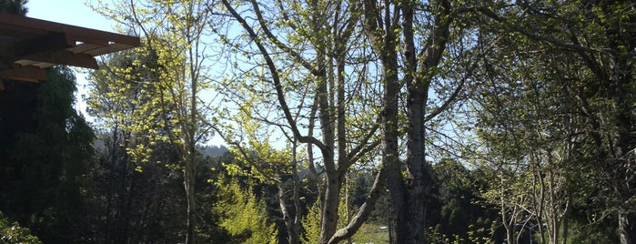 College Of The Redwoods is one of Favorites.