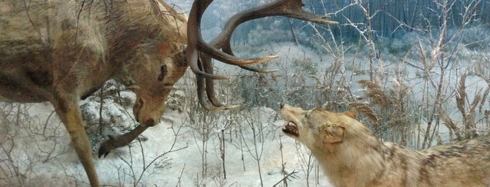 Воронежский государственный природный биосферный заповедник is one of Outdoors.