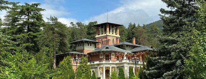 Romanovs' Royal Palace | რომანოვების სასახლე is one of Georgia.