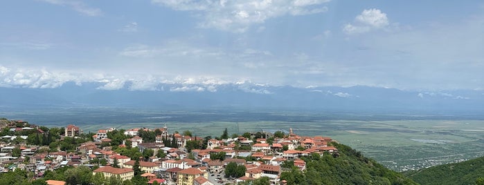 The Terrace Signagi is one of Грузия.