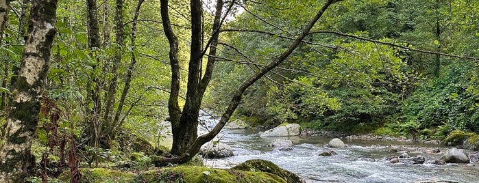 Национальный парк Мтирала is one of Georgia.
