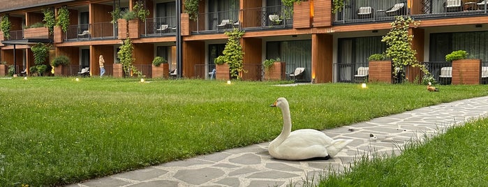 Lopota Lake Resort & Spa | ლოპოტა სპა რეზორტზე is one of Грузия.