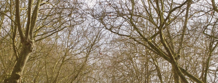 Promenade du Grand Mail is one of Sarthe.