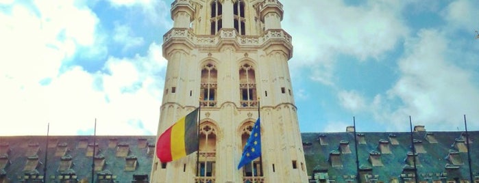 Hôtel de Ville de Bruxelles is one of Belgium 2013.