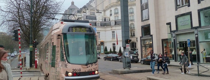 Stefania (MIVB) is one of Belgium / Brussels / Tram / Line 92.