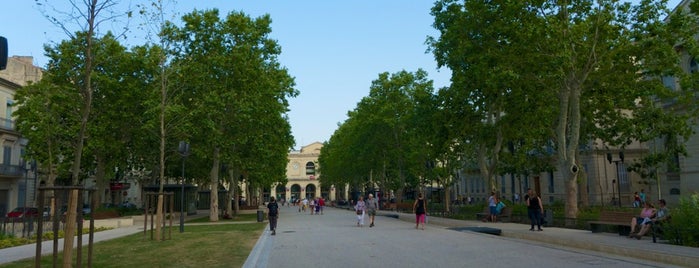 Avenue Feuchères is one of Nîmes.