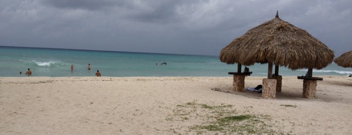 Carribean Ocean is one of Guillermo : понравившиеся места.