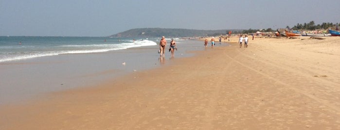 Calangute Beach is one of สถานที่ที่ Irina ถูกใจ.