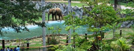 Zoológico de Puerto Rico is one of Top 10 Favorites Places @ Mayaguez, Puerto Rico.