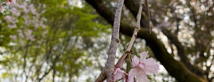 牟礼の里公園 is one of Monkey Bars Badge vol.1.