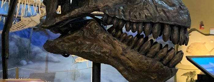 The Wyoming Dinosaur Center is one of Go, Do, Explore.