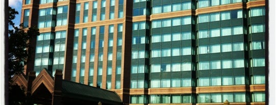 Hilton is one of Lugares favoritos de Chester.