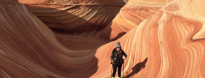 Coyote Buttes The Wave is one of [To-do] USA.