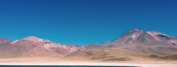 Lagunas Antiplánicas is one of Chile.