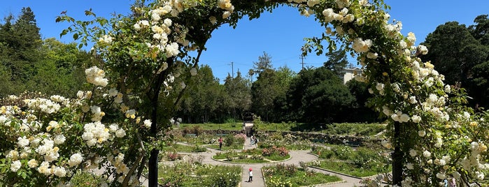 Morcom Rose Garden is one of Oakland.