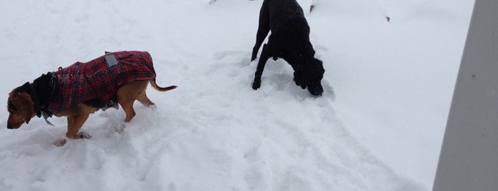 Williams Parkway Dog Park is one of Locais curtidos por Flor.