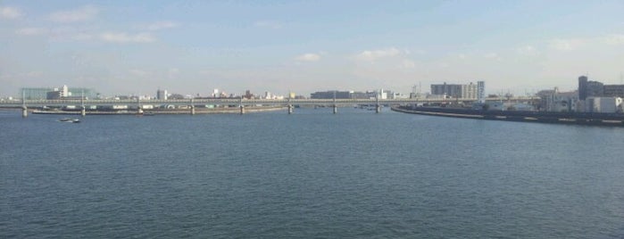 神崎橋 is one of いろんな橋梁.